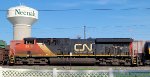 CN 2919